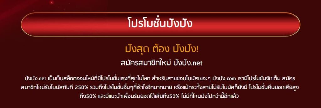 โปรโมชั่นปังปัง